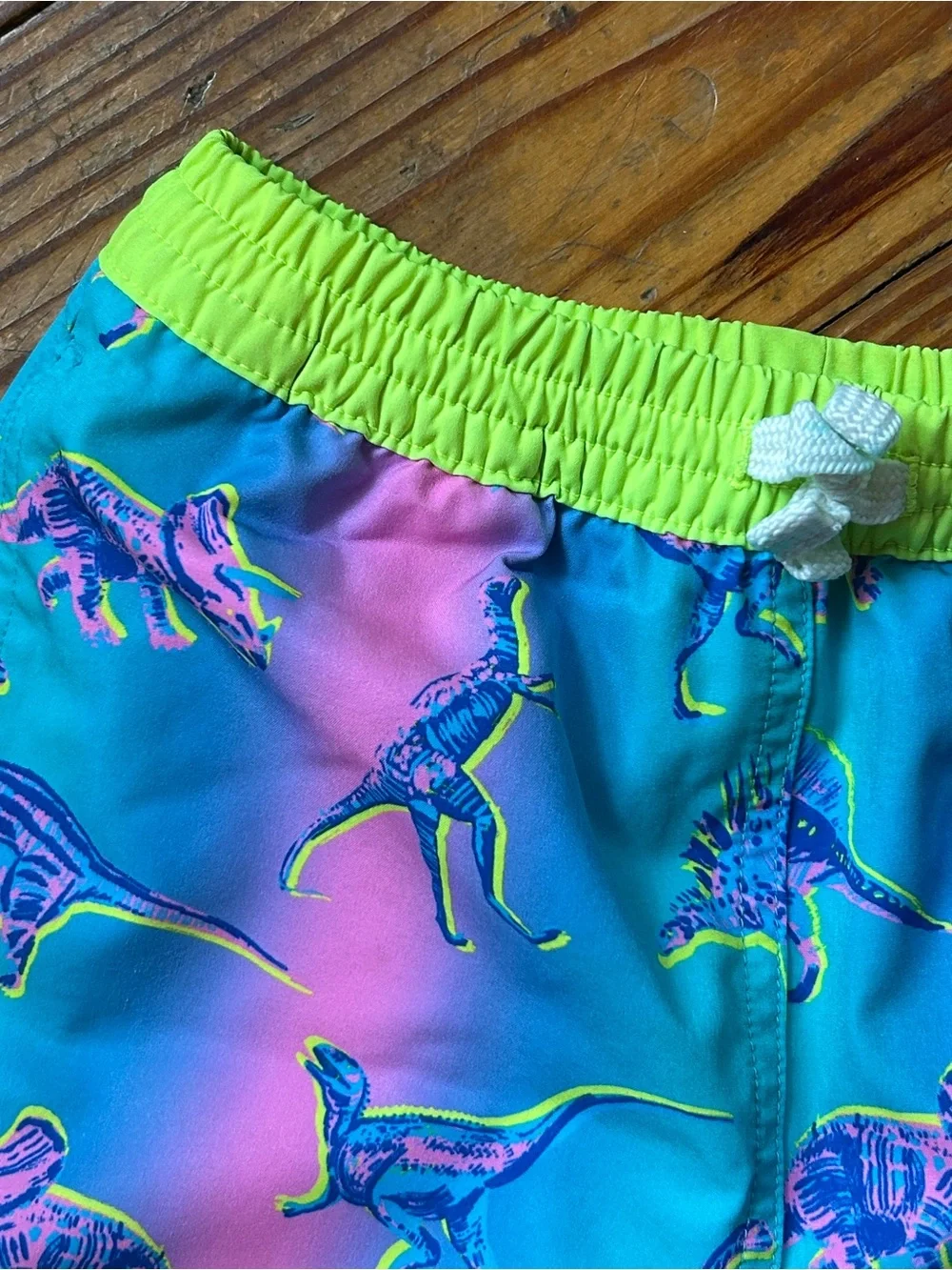 Little Boys Chubbies Neon Gradient Dinosaur Swim Trunks